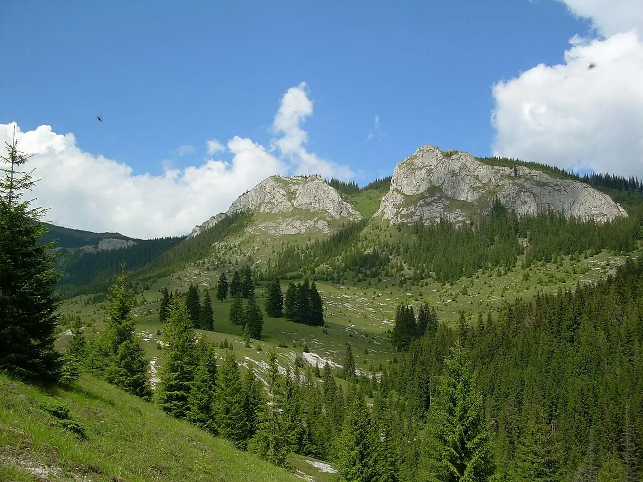 Mountain landscape in the Firii Valley area, Apuseni