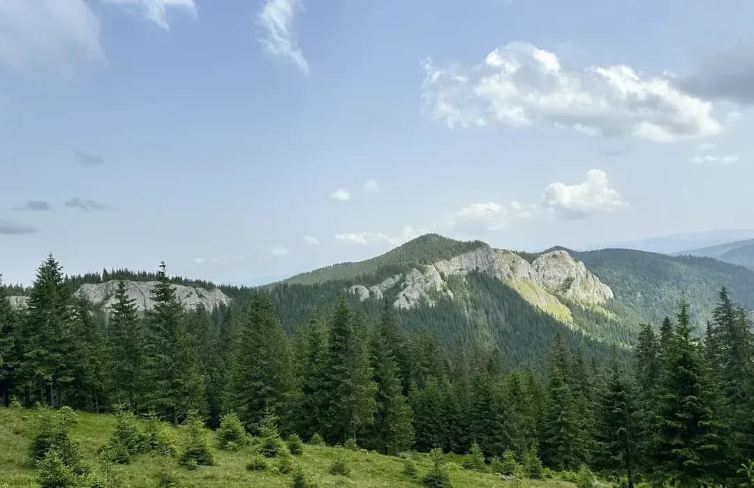 Vlădeasa Peak (1,836 m), the highest point of the massif